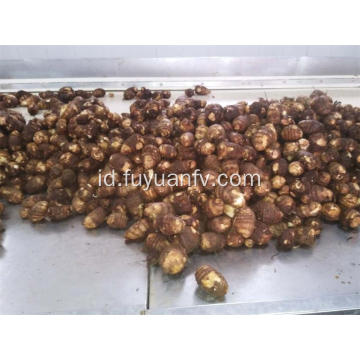 Shandong Anqiu Fresh Taro dengan Rasa Baik